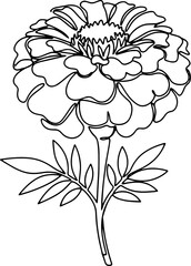 Obraz premium Flower Line Art Botanical Floral Outline Vector Illustration