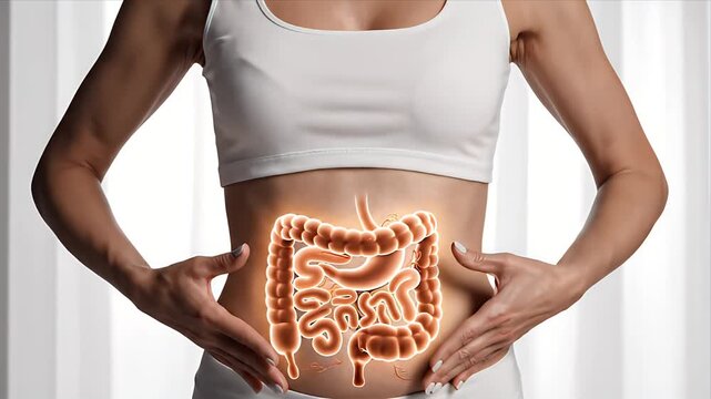 Woman Framing Glowing Digestive System Anatomy With Hands Medical Awareness Concept Clean Minimalist Studio Background Soft Lighting