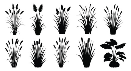 An assortment of black cattails reeds and grasses depicted in a striking silhouette high quality professional © nhpvect02