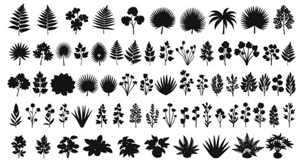 Collection of various black silhouette tropical and fern leaf designs © msunny93