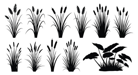 A collection of cattails and aquatic plants depicted in a striking black silhouette high quality professional © nhpvect02