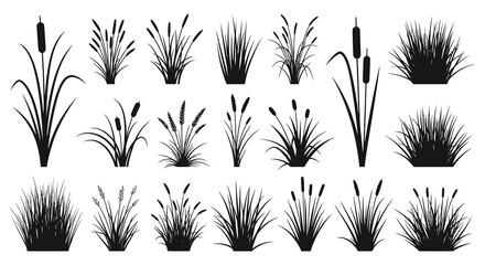 A collection of black reeds cattails and grasses depicted in a striking silhouette high quality professional © nhpvect02