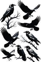 Obraz premium Detailed Black Crow and Raven Silhouette Collection with Birds Flying and Sitting on Tree Branches for Gothic Halloween Art and Spooky Nature Illustration