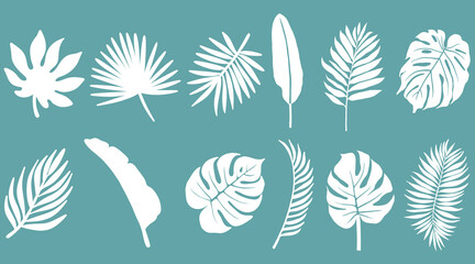 Tropical Leaves Silhouette Collection Botanical Leaf Set Minimal Nature Illustration © SasubuArt