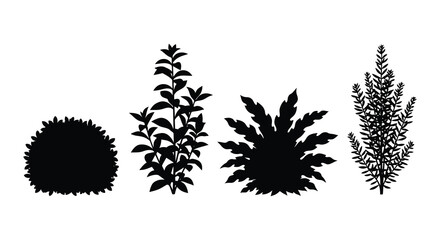 A collection of four diverse plant shapes presented as a striking black silhouette high quality professional © AL-AMIN