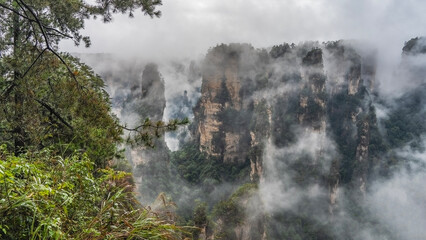 Fototapeta premium The tall rock pillars are shrouded in fog. Peaks in the clouds. Green vegetation on steep slopes. Branches of coniferous trees in the foreground. China. Zhangjiajie National Forest Park. Avatar