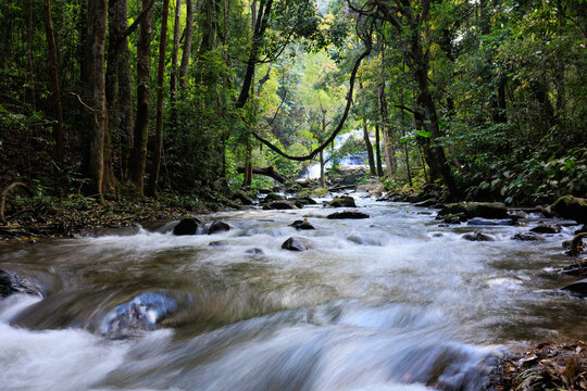 River flowing through lush forest with waterfall in thailand