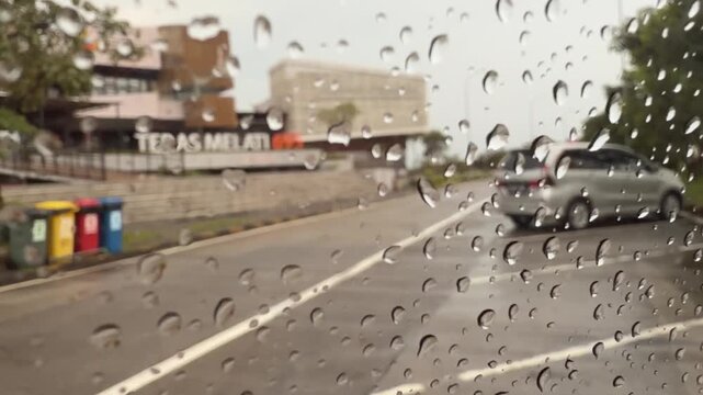 A close-up of a large insect perched on a car side window in the rain during an unexpected encounter on a road trip. 4k transportation