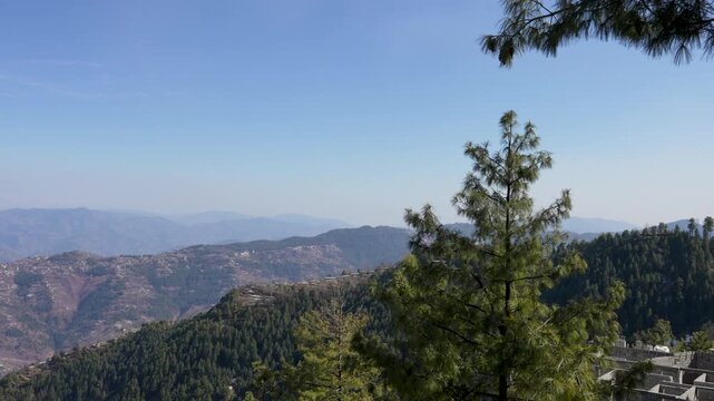 Pine tree in foreground overlooking forested hills and buildings on mountain slopes, Murree, Pakistan