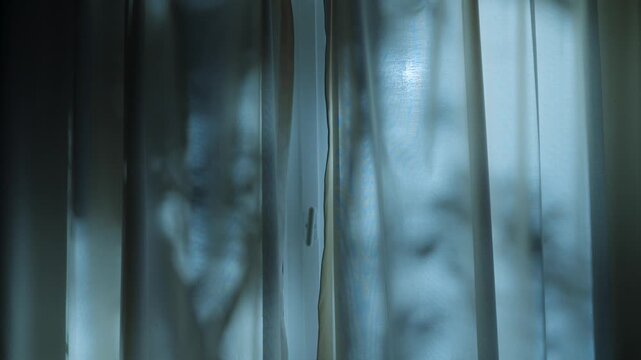 Moonlight shining on closed window curtain with tree shadows and dappled light appearing on fabric drape inside home or cabin. Full moon bright casting shadows of foliage. Scary or mysterious spooky