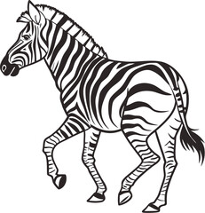 Obraz premium zebra vector illustration