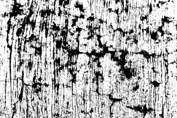 High Contrast Black and White Grunge Texture, Distressed Wood Grain with Cracks and Ink Splatter