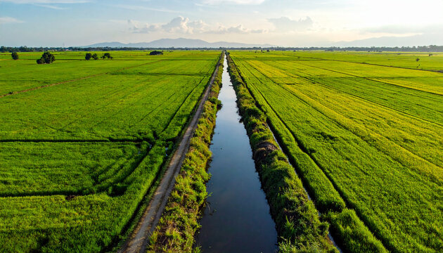Aerial view of vibrant green agricultural fields with water channel daytime