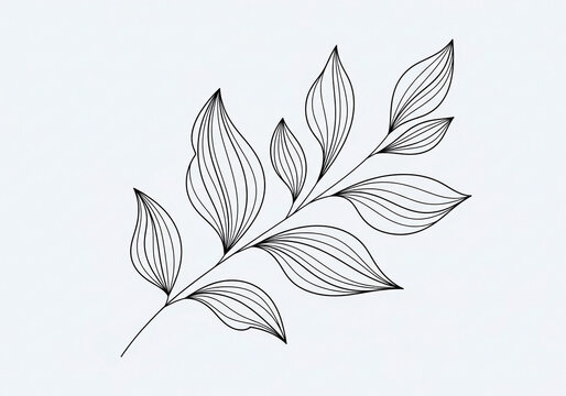 Elegant Line Art Drawing of a Single Leafy Branch with Multiple Leaves