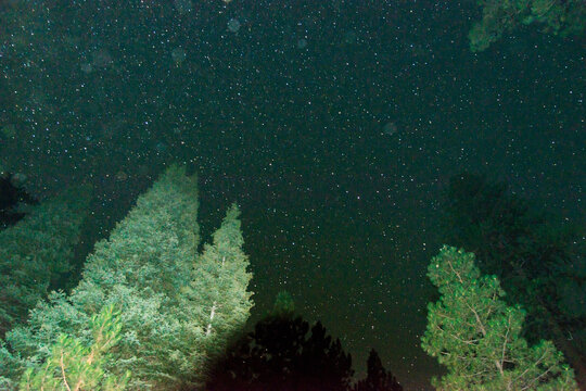 Canada, BC, Loon Lake.  Night sky with illuminated trees in the foreground.