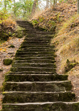 Canada, BC, Saltspring Island.  Outdoor stone staircase climbs a hill in Ruckle Provincial Park.