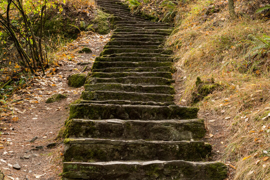 Canada, BC, Saltspring Island.  Outdoor stone staircase climbs a hill in Ruckle Provincial Park.