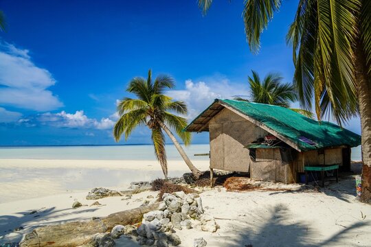 Tropical Beach Hut on a White Sand Beach with Palm Trees and Clear Blue Sky in Balabac, Palawan