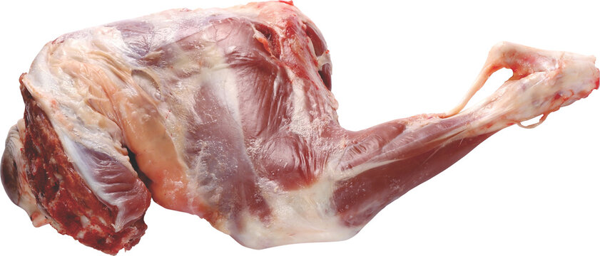 Mutton Isolated On White Background