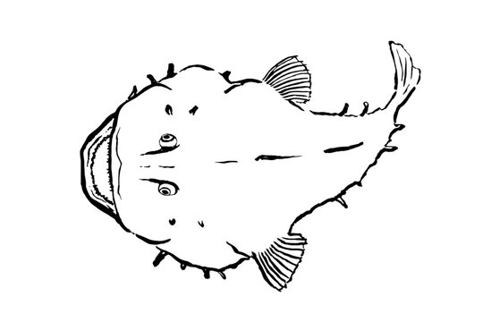 anglerfish ink brush illustration, japanese monkfish line art vector
