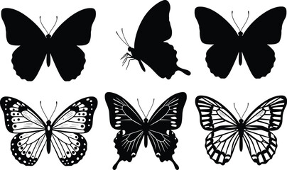 Butterfly silhouette vector, insect illustration design, flying butterfly artwork, nature wing pattern, black and white butterfly graphic, decorative insect element, spring summer theme © Arafat