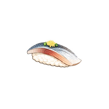 Iwashi Sardine Nigiri Sushi Illustration Isolated on White Background Japanese Food