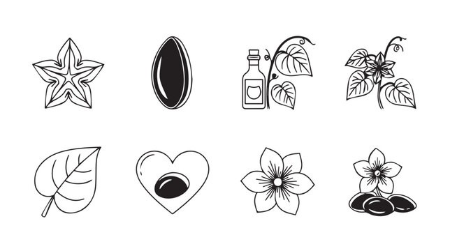 Botanical Icons Set: Star Fruit Seed Oil Bottle Plant Leaf Heart Fruit Flowers