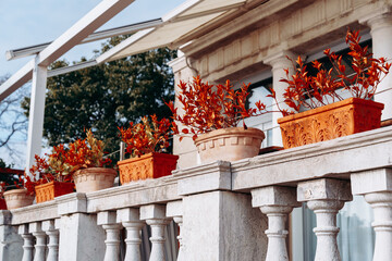 Fototapeta premium Bright orange pots with plants on a balcony in a city during the day