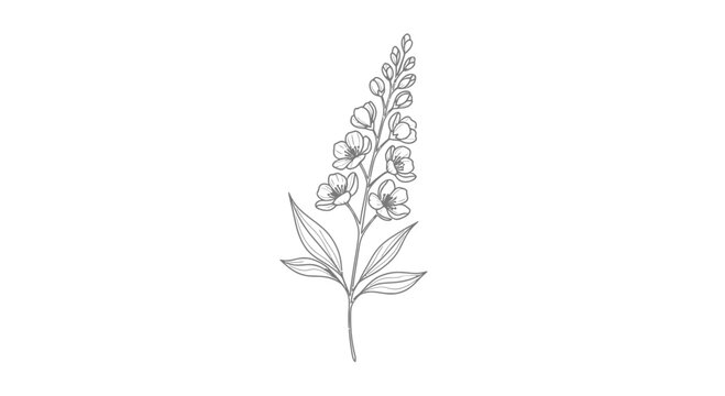 Elegant line drawing of a delicate foxglove flower stem.