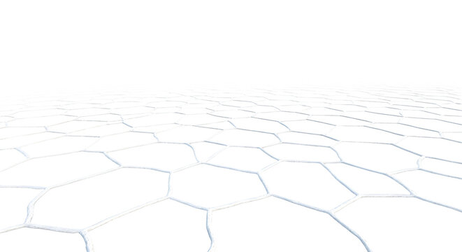 White hexagonal tiles with gray grout on floor