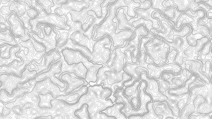 Vector geographic contour map. Background of the topographic map. Topographic map lines, contour background.   © Mst