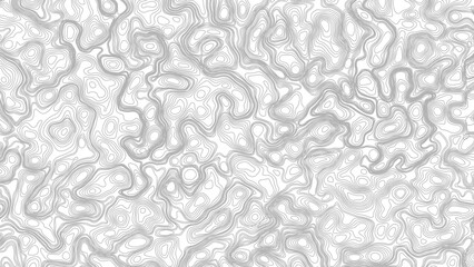 Topography background. Vector banner. Topography map background. Vector geographic contour map. Background of the topographic map. © Mst