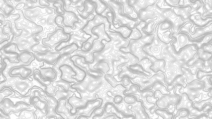 Topography background. Vector banner. Topography map background. Vector geographic contour map. Background of the topographic map. © Mst