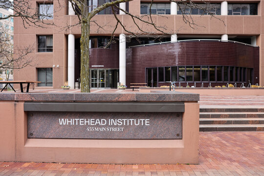 Whitehead Institute for Biomedical Research building in Kendall Square Cambridge Massachusetts