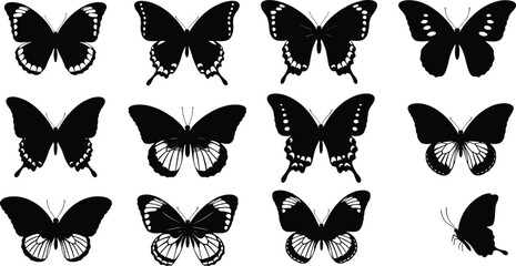 Diverse silhouettes of butterflies in elegant black and white contrast designs © Mst