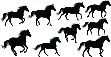 Dynamic silhouettes of galloping horses in various poses © Mst