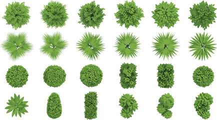 Top view green bushes and shrubs collection garden plants landscaping vector illustration set © Prodip