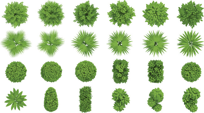 Top view green bushes and shrubs collection garden plants landscaping vector illustration set