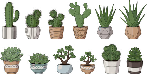 Indoor Cactus and Succulent Houseplant Collection with Potted Desert Plants, Aloe Vera, Prickly Pear, Jade Plant and Decorative Botanical Vector Illustration Set © Sumon Creative
