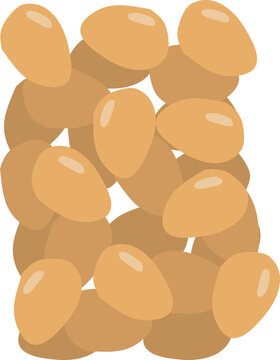 Kacang Koro Panggang sebagai Lauk MBG