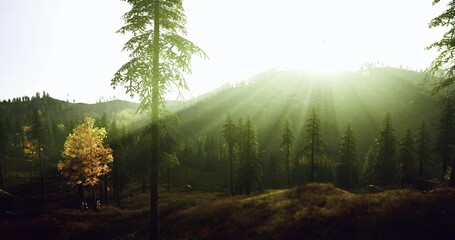 sunlit mountain valley with golden rays, pine ridgelines and misty meadow, warm backlight creating long shadows, ideal for hiking, wellness retreats, or outdoor © icetray