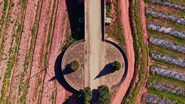 A roundabout sits at the center of a dirt road with fields of crops surrounding it. The view shows neatly arranged rows of plants and a clear sky in the background.