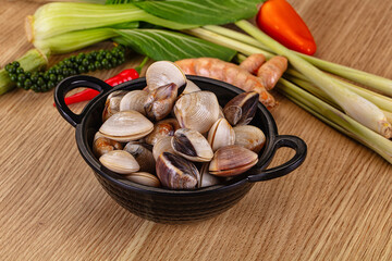 Raw fresh wild clams mollusc © Andrei Starostin