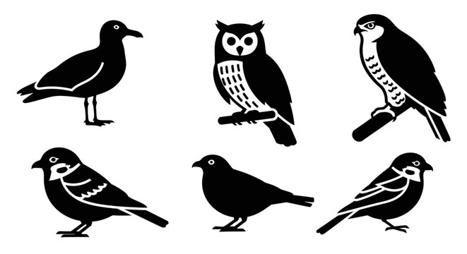 Set of diverse bird silhouettes: owl, falcon, seagull, and small perching birds icons