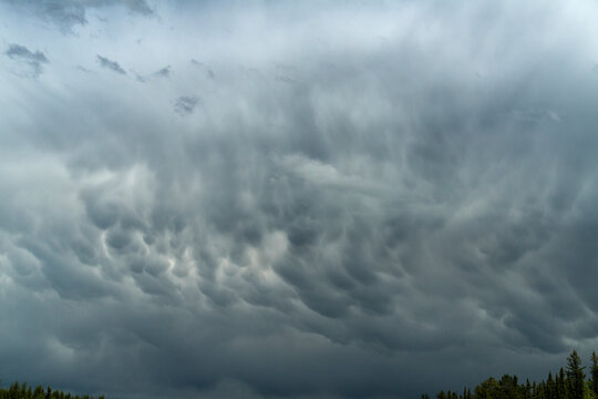 Canada, Alberta.  Intense billowing mammatus clouds in the sky, Jasper National Park