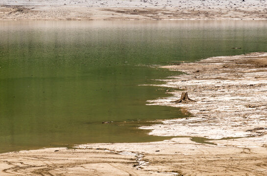Canada, BC, Valemount.  The receding shoreline of Kinbasket Lake, a water reservoir in northern BC.  