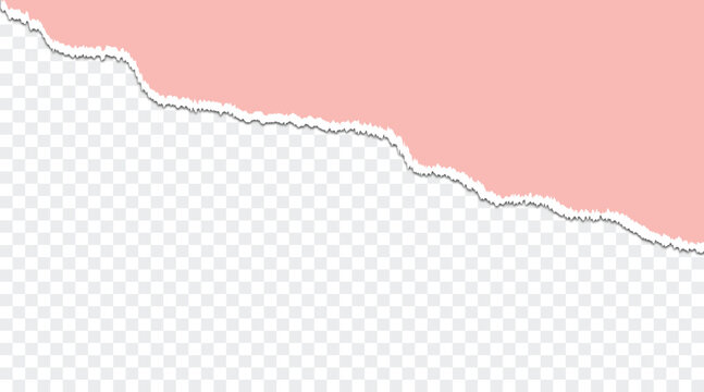 Turn paper vector background, Ripped paper border png transparent background, torn paper vector isload vector illustration.