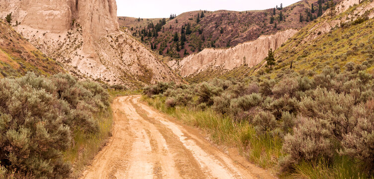 Canada, BC, Kamloops.  Four wheel drive road heading into the hills in the Cariboo district landscape.