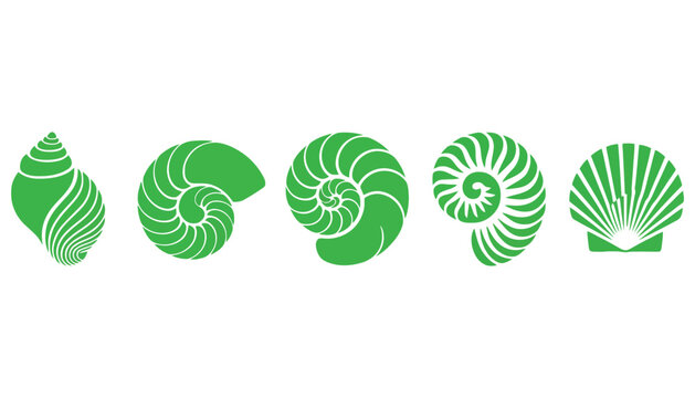 A set of green nautilus shell vector illustrations on a white background