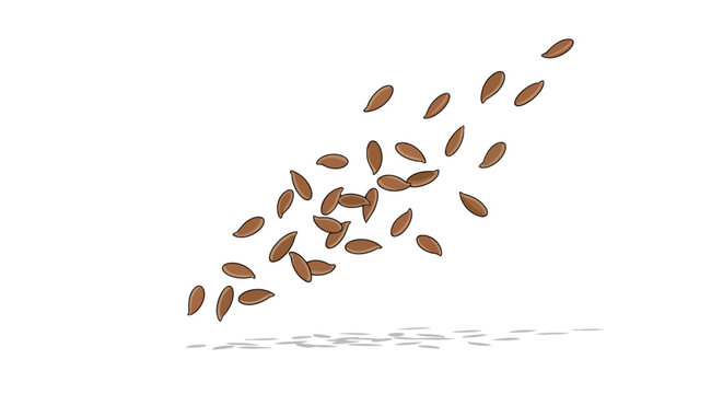 Falling Brown Flax Seeds Isolated on White Background